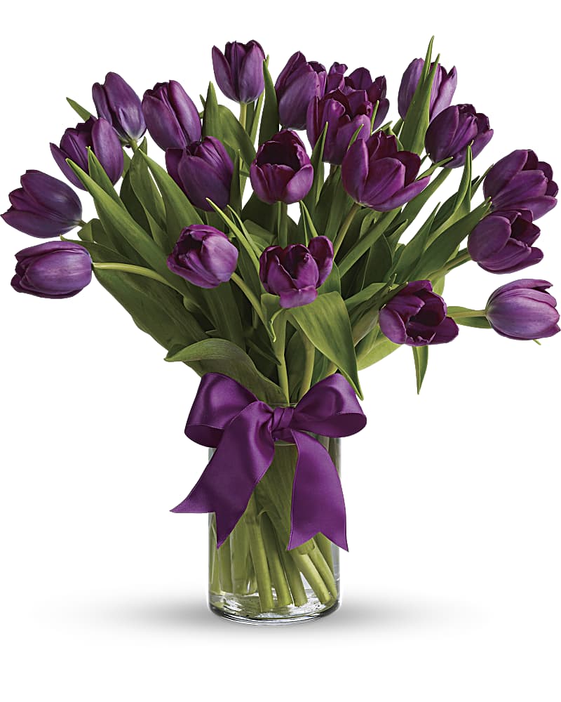 Passionate Purple Tulips in a Clear Vase