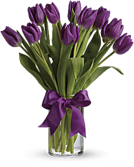 Passionate Purple Tulips