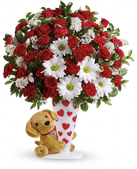 Send a Hug I Ruff You by Teleflora

 Flower Bouquet