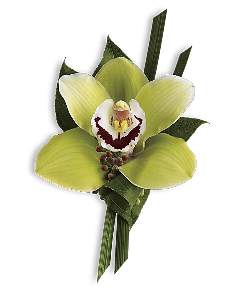 Green Orchid Boutonniere