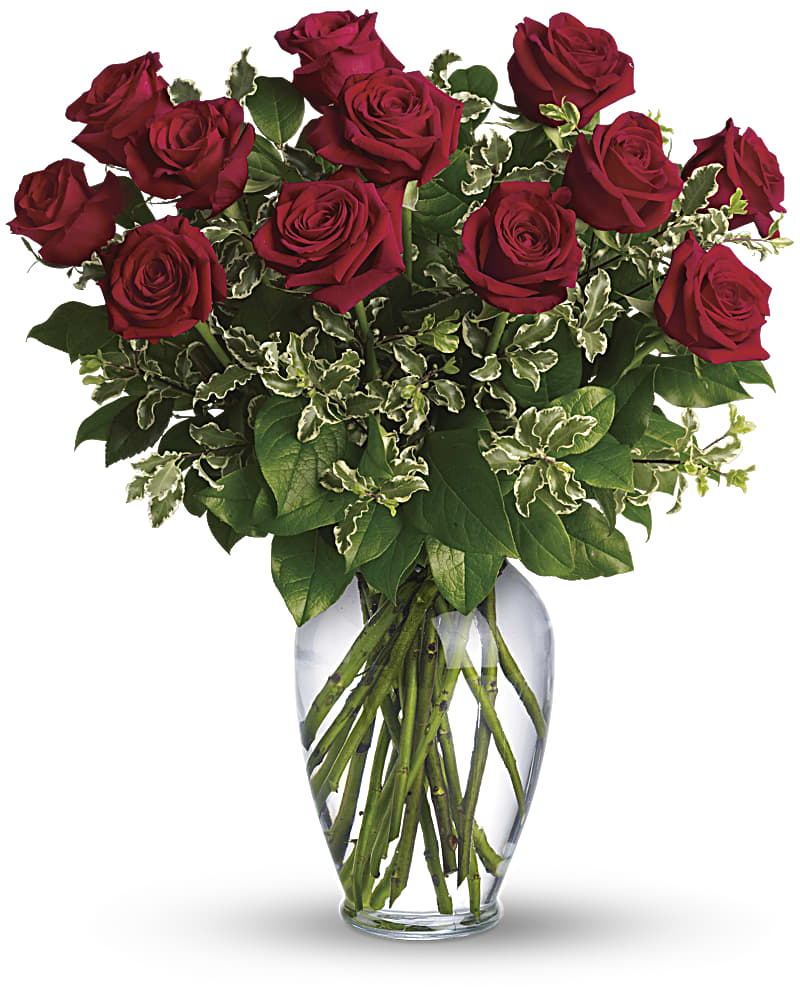 Always on My Mind - Long Stemmed Red Roses