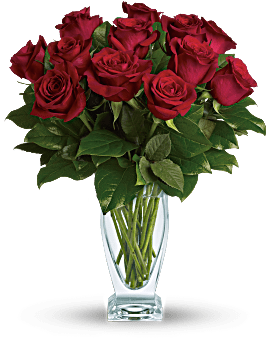 Rose Classique - Dozen Red Roses Flower Bouquet