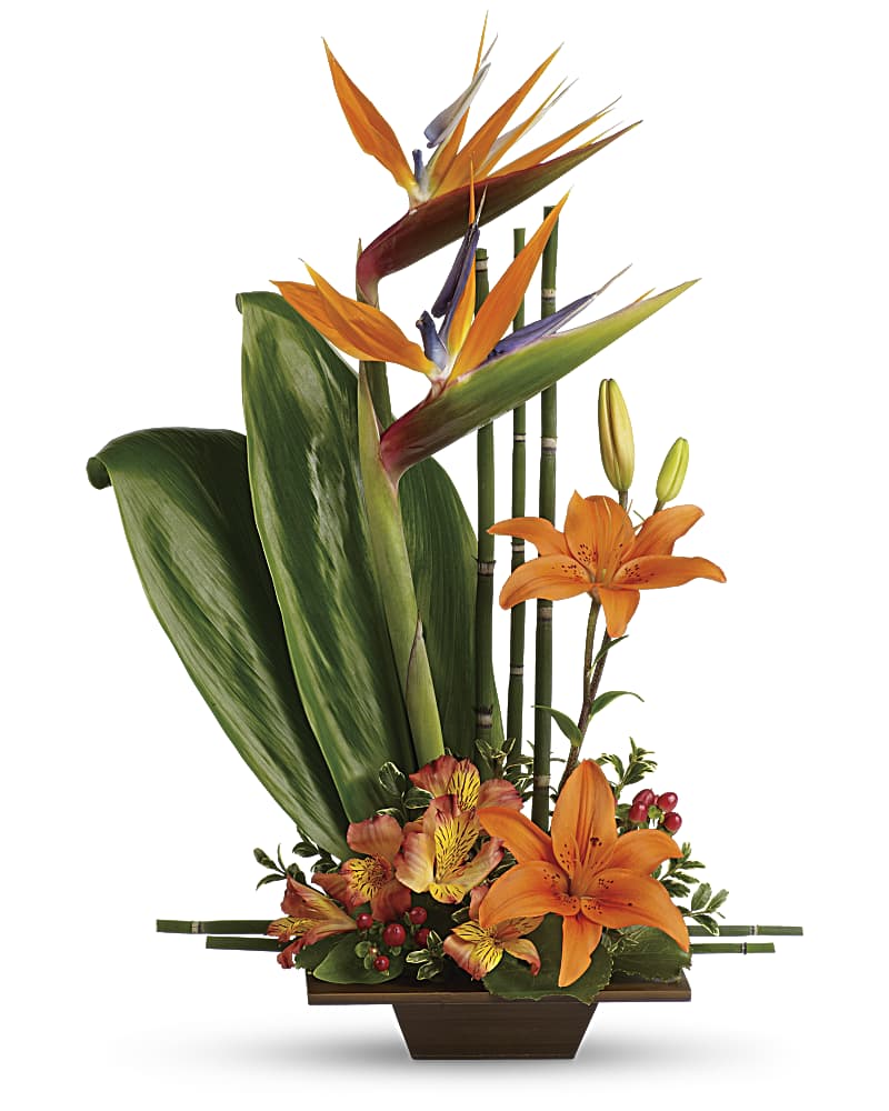 Teleflora's Exotic Grace