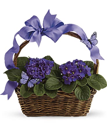 Violets and Butterflies Flower Bouquet