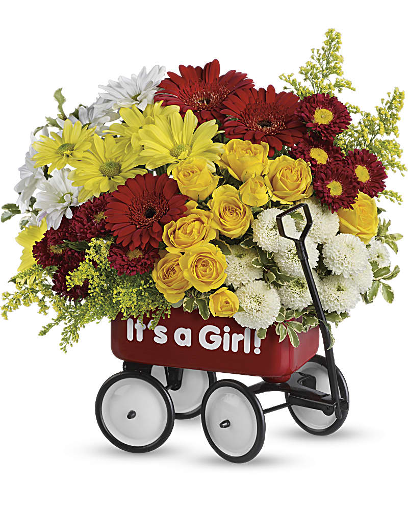 Baby''s Wow Wagon - Girl Flower Bouquet