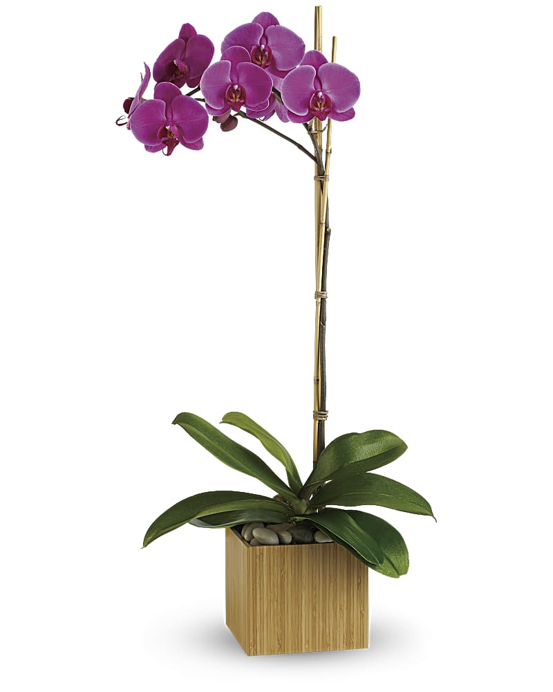 Imperial Purple Orchid Flower Bouquet