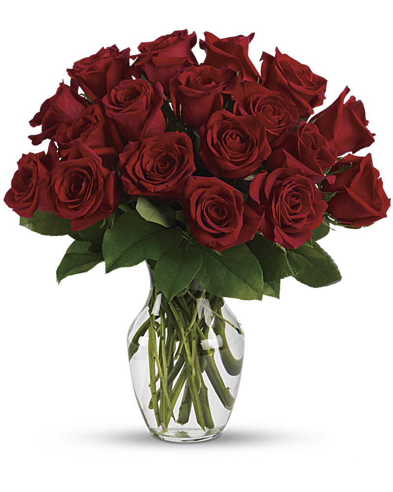 Standard Dozen Roses - Red Roses Flower Bouquet