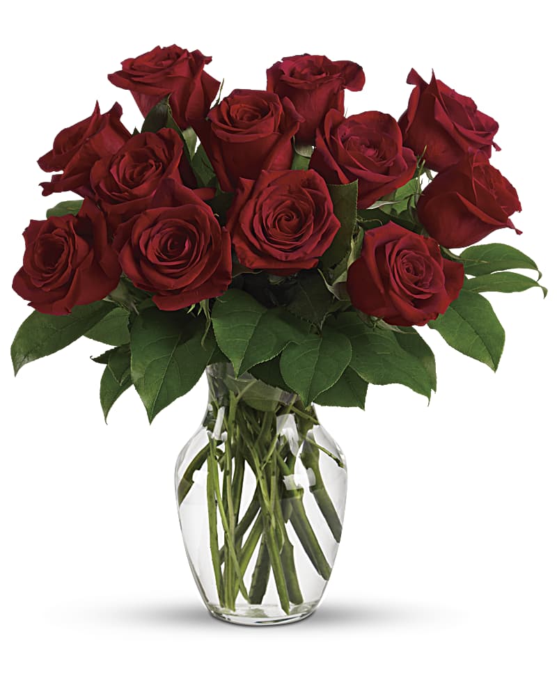 Standard Dozen Roses - Red Roses Flower Bouquet