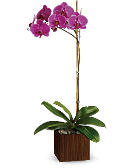 Sublime Orchid Flower Bouquet