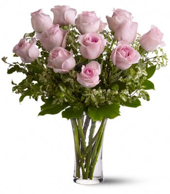  Dozen Pink Roses