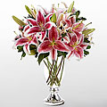 The FTD® Stylish Stargazer™ Bouquet by Vera Wang - VASE INCLUDED