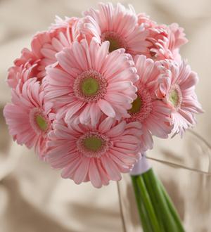 The FTD® Daisy Delight™ Bouquet