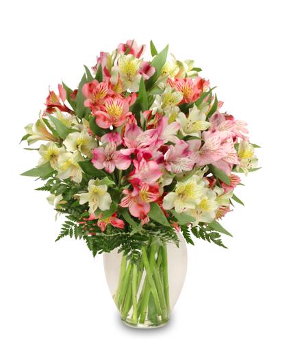 Alluring Alstroemeria Arrangement