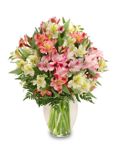 Alluring Alstroemeria
 Arrangement Flower Bouquet