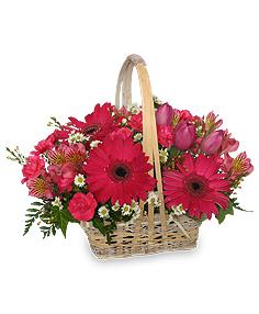 Best Wishes  - Pink Flower Basket Flower Bouquet