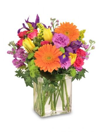 Celebrate Today!
 Bouquet Flower Bouquet