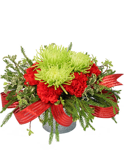 NATURE'S CHRISTMAS GIFT