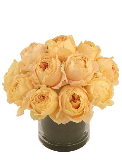 Champagne Roses Arrangement