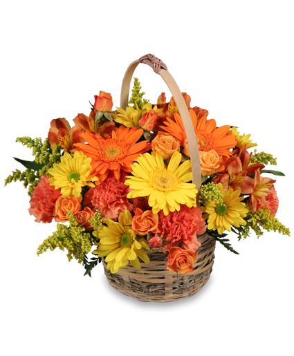 Cheergiver
  Basket Flower Bouquet