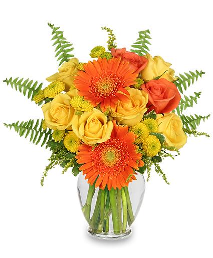 citrus zest  Bouquet Flower Bouquet