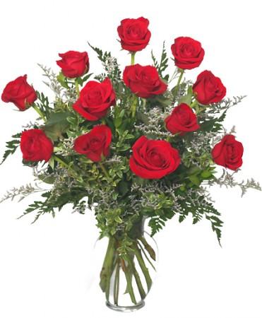 Classic Dozen Roses
Red Rose  Arrangement Flower Bouquet