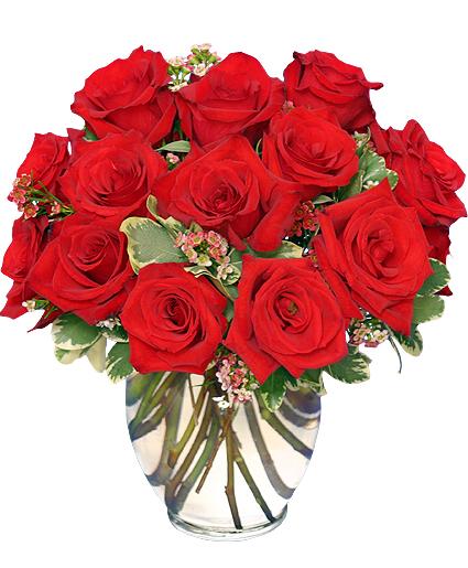 Classic Rose Royale
18 Red Roses Vase Flower Bouquet