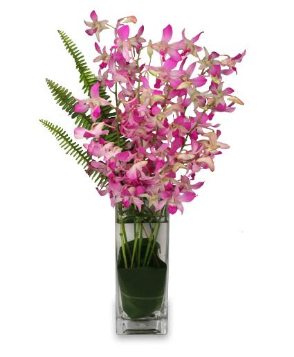 dazzling dendrobiums orchid  Arrangement