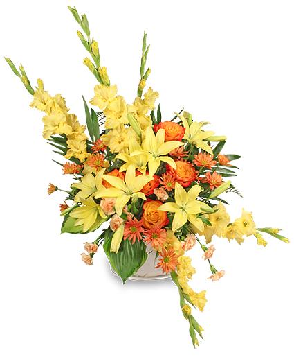 Endless Devotion
Sympathy  Arrangement Flower Bouquet