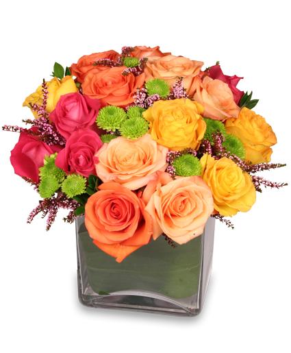 Energetic Roses
 Arrangement