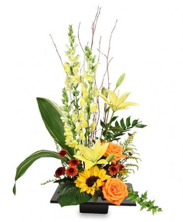 Expressive Blooms
 Arrangement Flower Bouquet