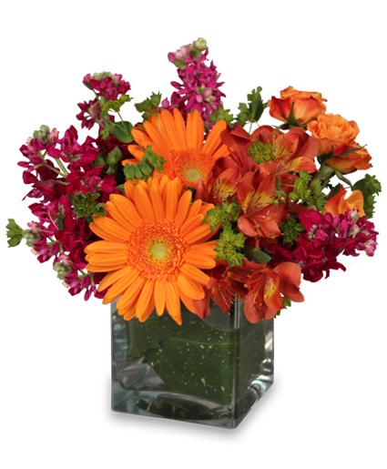 FLORAL EXUBERANCE
 Arrangement Flower Bouquet