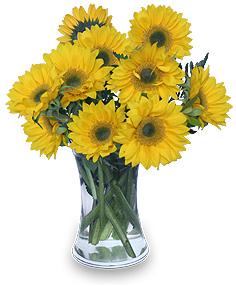 Hello Sunshine! Vase Of Flowers