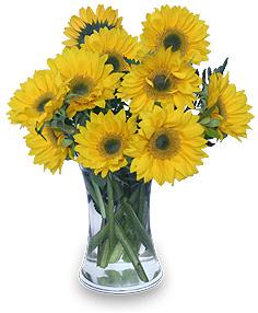 Hello Sunshine! Vase Of Flowers Flower Bouquet