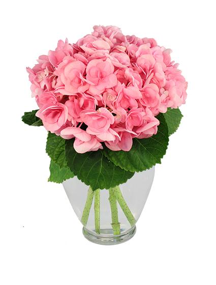 hydrangea happiness  Bouquet Flower Bouquet