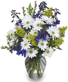 Lazy Daisy & Delphinium Flower Bouquet