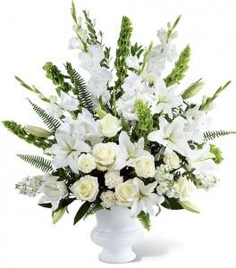 MORNING STARS
 Arrangement Flower Bouquet