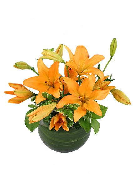 ORANGE LILY BOWL Arrangement