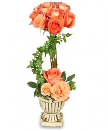 Peach Rose Topiary
 Arrangement