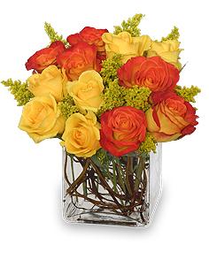 Phoenix Flame Rose Arrangement