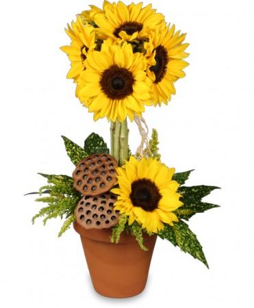 Pot O' Sunflowers
Topiary  Arrangement