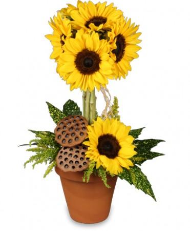 Pot O' Sunflowers
Topiary  Arrangement