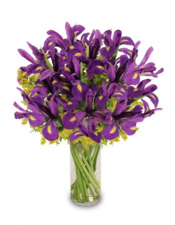 Purple Heart
Iris Vase Flower Bouquet