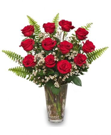 Ravishing Dozen
Rose  Arrangement Flower Bouquet