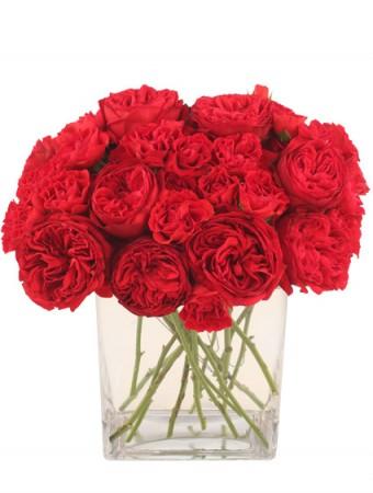 Red Carpet Roses Arrangement