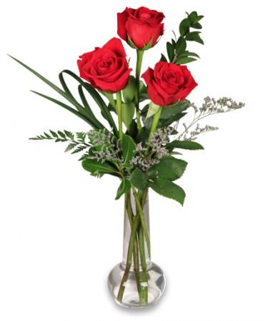 Red Rose Bud VaseFlower Design Flower Bouquet