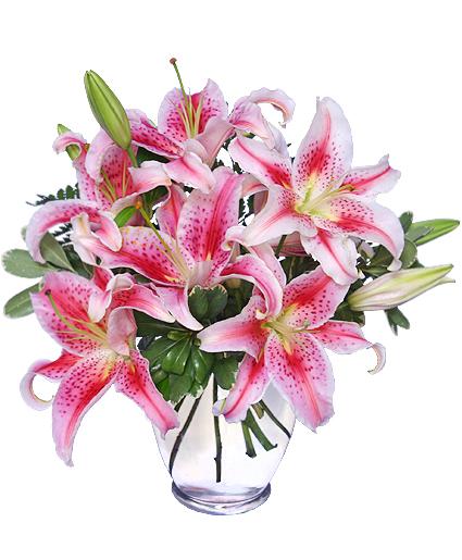 stunning stargazers  Arrangement