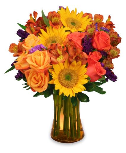 Sunflower Sampler Arrangement