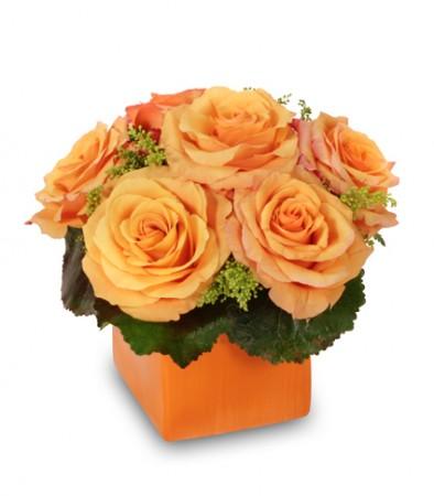 Tangerine Twist
Rose  Arrangement