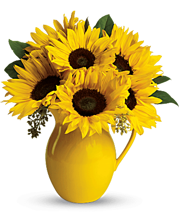 Teleflora's Sunny Day Pitcher of Sunflowers Flower Bouquet