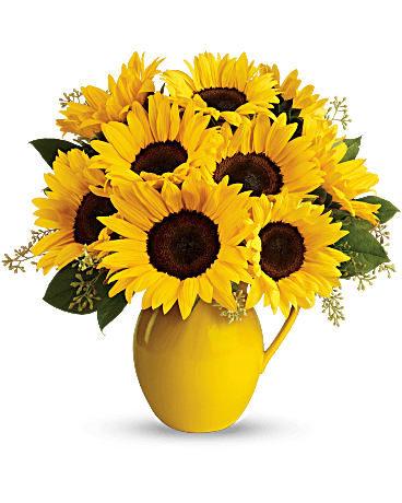 Teleflora's Sunny Day Pitcher of Sunflowers